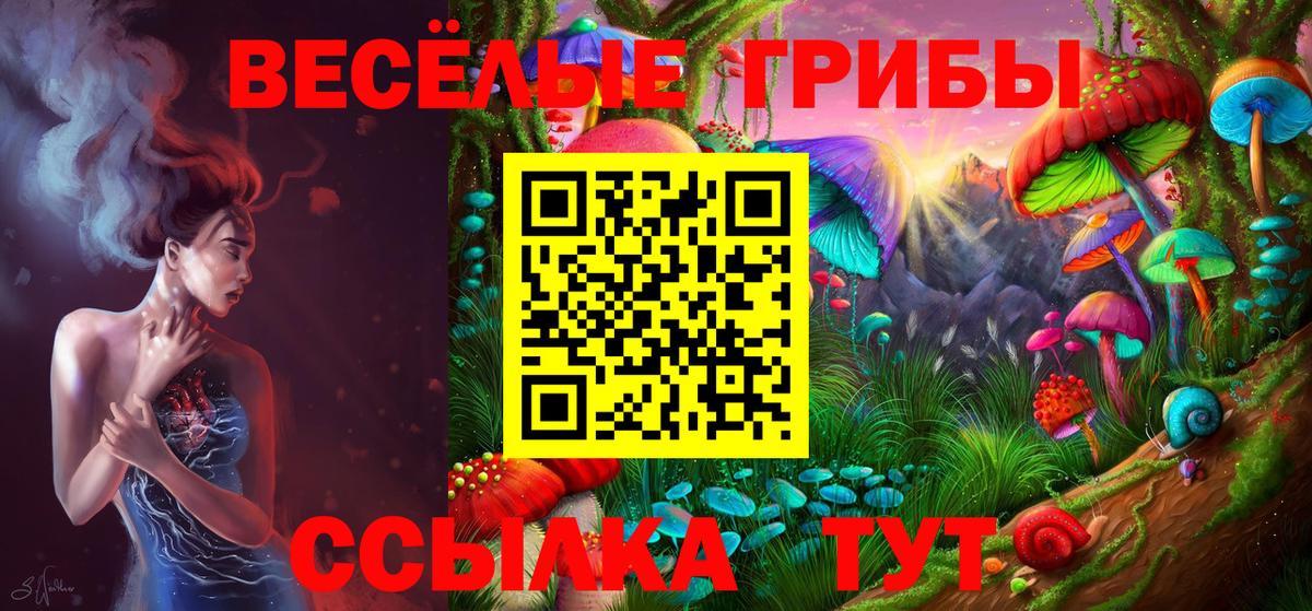Галлюциногенные грибы MAGIC MUSHROOMS  Вход с VPN  Джанкой  Псилоцибиновые грибы прущие грибы 