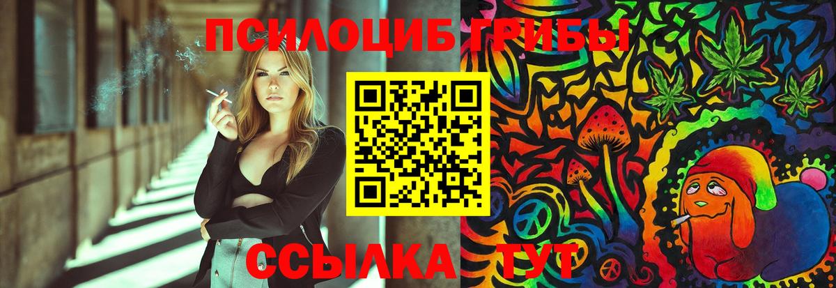Псилоцибиновые грибы Cubensis Джанкой